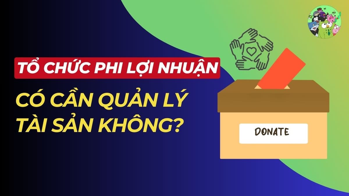 Giải đáp Tổ chức phi lợi nhuận có cần quản lý tài sản không