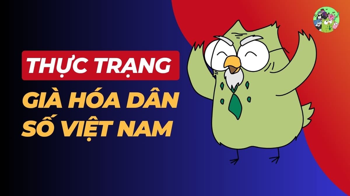 Thực Trạng Già Hóa Dân Số Việt Nam