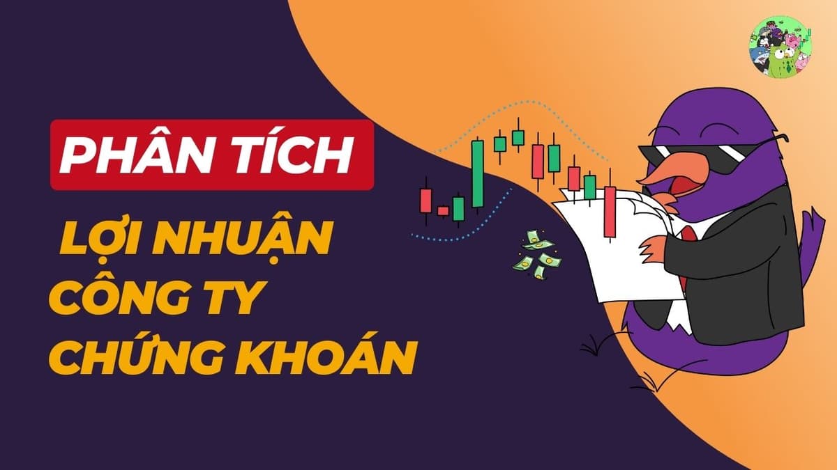 Phân Tích Chất Lượng Lợi Nhuận Công Ty Chứng Khoán